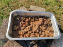 20210918_102117 20210918_102117