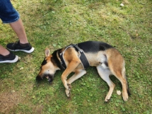 20210918_151457 20210918_151457